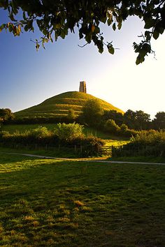 a grassy field with a hill in the background