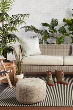 a living room filled with lots of plants and furniture