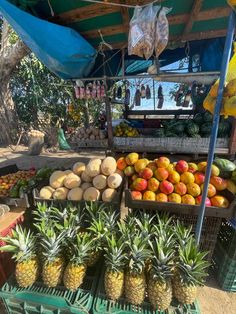 pineapples, melons and other fruits are on display