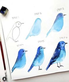 the blue birds are drawn on paper with markers and pencils next to each other