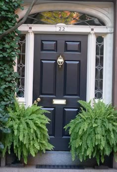 a black front door surrounded by green plants