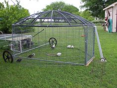 a small cage with wheels is in the grass near a shed and some other things