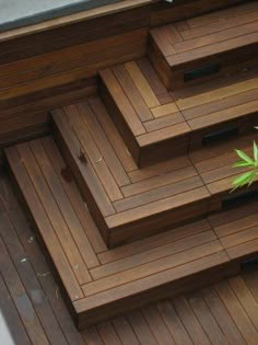 the wooden flooring is laid out on top of each other and has a plant in it