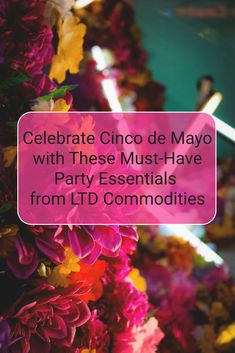 the words celebrate cinco de mayo with these must - have party essentials from lltd commodilies