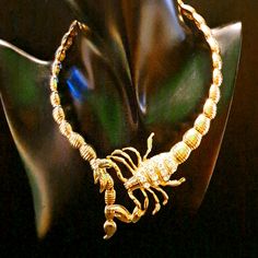 Nwot - Stylish Goldtone With Faux Diamonds - Scorpion Choker Necklace - All Reasonable Offers Welcome! Scorpion, Womens Jewelry Necklace, Choker, Choker Necklace, Gold Tones, Jewelry Necklaces, Diamonds, Necklaces, Women Jewelry