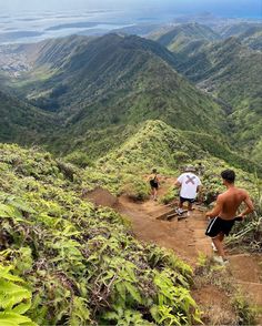 three men hiking up a trail in the mountains with green vegetation on either side and blue ocean in the distance