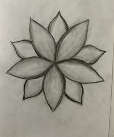 a drawing of a flower with leaves on it