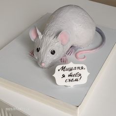 a cake shaped like a mouse sitting on top of a white box with a sign