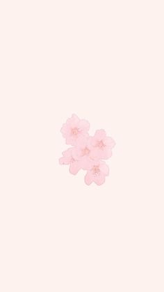 pink flowers floating in the air on a white background