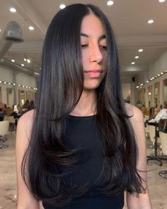 Layered Haircuts Straight Hair, Layered Haircuts Straight, Haircuts For Long Hair Straight, Brown Hair Inspo, Straight Hair Cuts