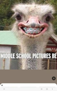 an ostrich with braces on it's head and mouth is smiling