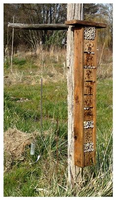 an old wooden pole with holes in it sitting in the grass next to a tree