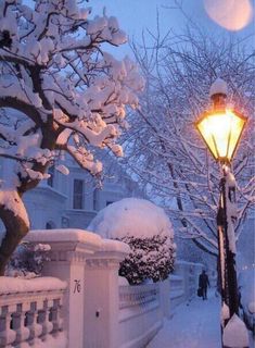 a street light covered in snow next to a white fence and tree with no leaves