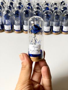 a hand holding a bottle with a blue rose in it next to rows of bottles