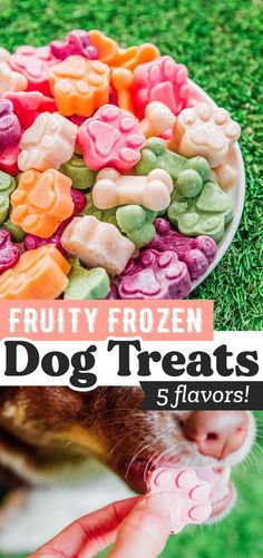 a plate full of fruity frozen dog treats with text overlay that reads, fruity frozen dog treats 5 flavors