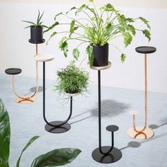 three plant stands with plants in them on a table