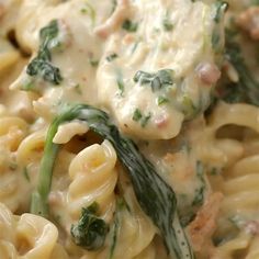 pasta with spinach, cheese and meat on it