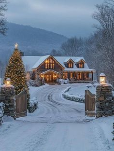 a large house with a christmas tree in the front yard