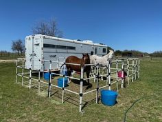 two horses are standing in the back of a horse trailer with barrels and buckets