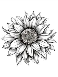 a black and white drawing of a large sunflower with leaves on it's petals