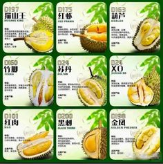 various pictures of different types of fruit with names in english and chinese characters on them