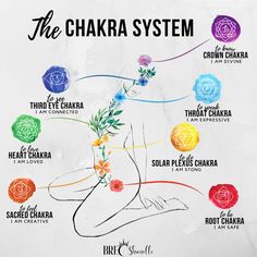 Seven Chakras Art, Sacral Chakra Tattoo, Chakra Notes, Chakra Illustration, Illustration Spiritual, Chakras Explained, Sacral Chakra Healing, Chakra Mantra, Chakra Healing Meditation