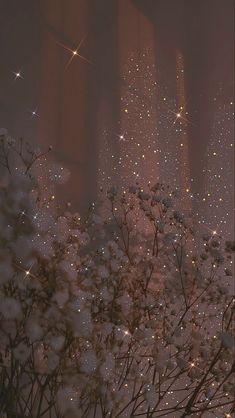 white flowers in the foreground with skyscrapers in the backgrounnd at night