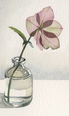 a watercolor painting of a pink flower in a glass vase on a white surface