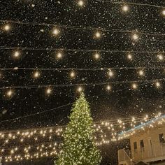 a large christmas tree is lit up in the snow with many lights strung across it