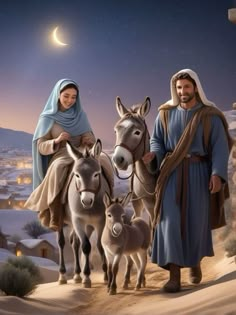 the nativity scene features three donkeys and two men