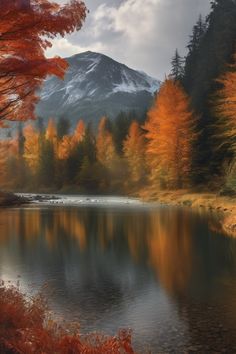 A serene river flows through a vibrant forest, showcasing the beauty of fall. Perfect for a peaceful getaway, this scene invites you to embrace nature's stunning colors. #fall_vibes #nature_escape #autumn_adventure #forest_travel #travel_photography Autumn Landscape Aesthetic, Autumn Sunrise Aesthetic, Forest In Autumn Aesthetic, Autumn River, Autumn View Landscapes, Dark Nature Aesthetic, Fall River, Embrace Nature, Ancient Tree