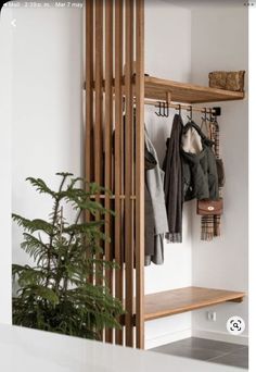 a coat rack with coats hanging on it and a potted plant in the corner