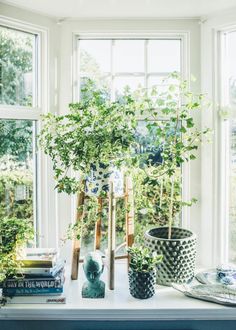 a window sill filled with potted plants next to windowsills and books