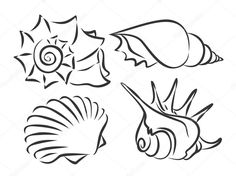 sea animals and seashells in black and white stock photo, illustration or drawing