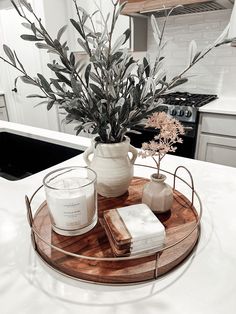 a tray that has some plants in it on top of a kitchen counter next to a potted plant