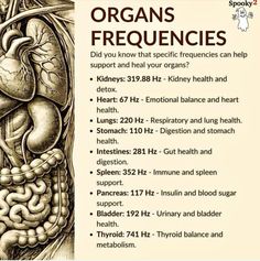 Bruce Lipton, Frequency Healing, Gregg Braden, Joe Dispenza, Herbal Healing, Healing Frequencies, Home Health Remedies, Kidney Health, Hormone Health