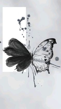 a black and white butterfly flying in the sky