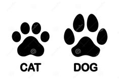 cat and dog paw prints with the words cat and dog written in black on a white background