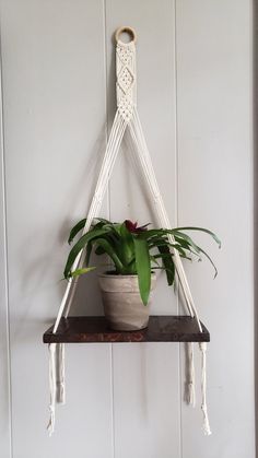 a potted plant sitting on top of a wooden shelf