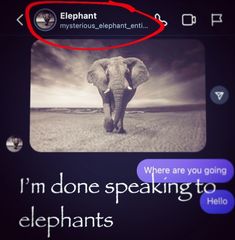 an elephant is shown with the caption'i'm done speaking to elephants '