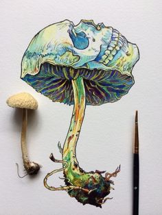 a drawing of a mushroom with a human skull on it's head and an ink pen next to it