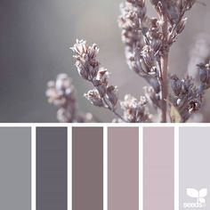 the color scheme is gray, brown and white with some light purples in it