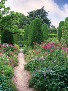 a garden with lots of flowers and trees