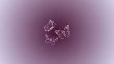 three butterflies flying in the air on a purple background