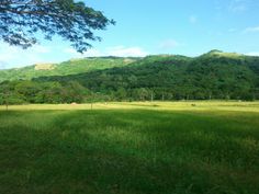 an open field with mountains in the background and trees on the other side as seen from a moving vehicle