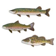 three fish that are standing up in the air on a white background, one is brown and one is green