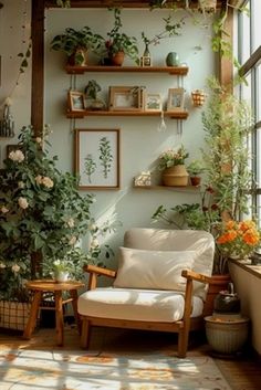 a living room filled with lots of plants and potted plants next to a window