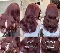 Deep Wine Red Hair, Non Bleach Hair Color For Dark Hair, No Bleach Hair Color, Bleach Hair Color, Purple Brown Hair, Bleach Hair, Blonde Highlights On Dark Hair, Dark Blonde Hair Color