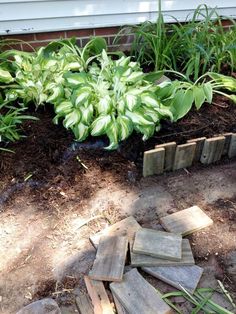 a pile of wood sitting on top of a dirt ground next to a garden bed