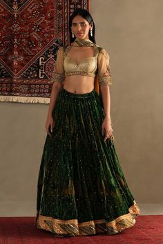 Green silk geometric print lehenga featuring sequin embellishments and embroidered border. Comes with matching thread embroidered blouse and dupatta. - Aza Fashions Indian Skirt And Top, Fashion Course, Sequin Lehenga, Print Lehenga, Lehenga Pattern, Indian Skirt, Ritu Kumar, Fashion Courses, Embroidered Border